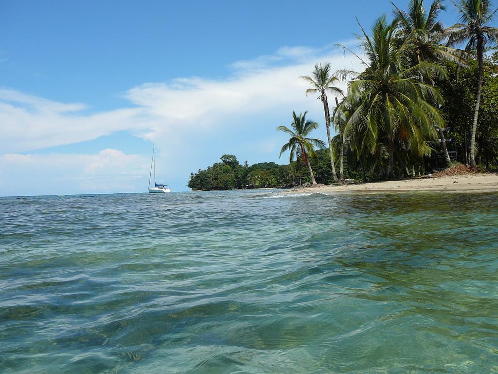 Casa Lina Sloth View Exotic Apartment With Privat Kitchen Puerto Viejo de Talamanca Room photo