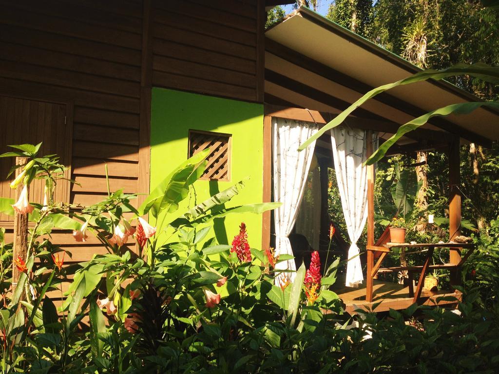 Casa Lina Sloth View Exotic Apartment With Privat Kitchen Puerto Viejo de Talamanca Exterior photo