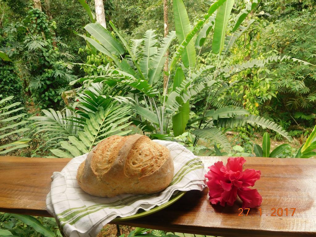 Casa Lina Sloth View Exotic Apartment With Privat Kitchen Puerto Viejo de Talamanca Exterior photo