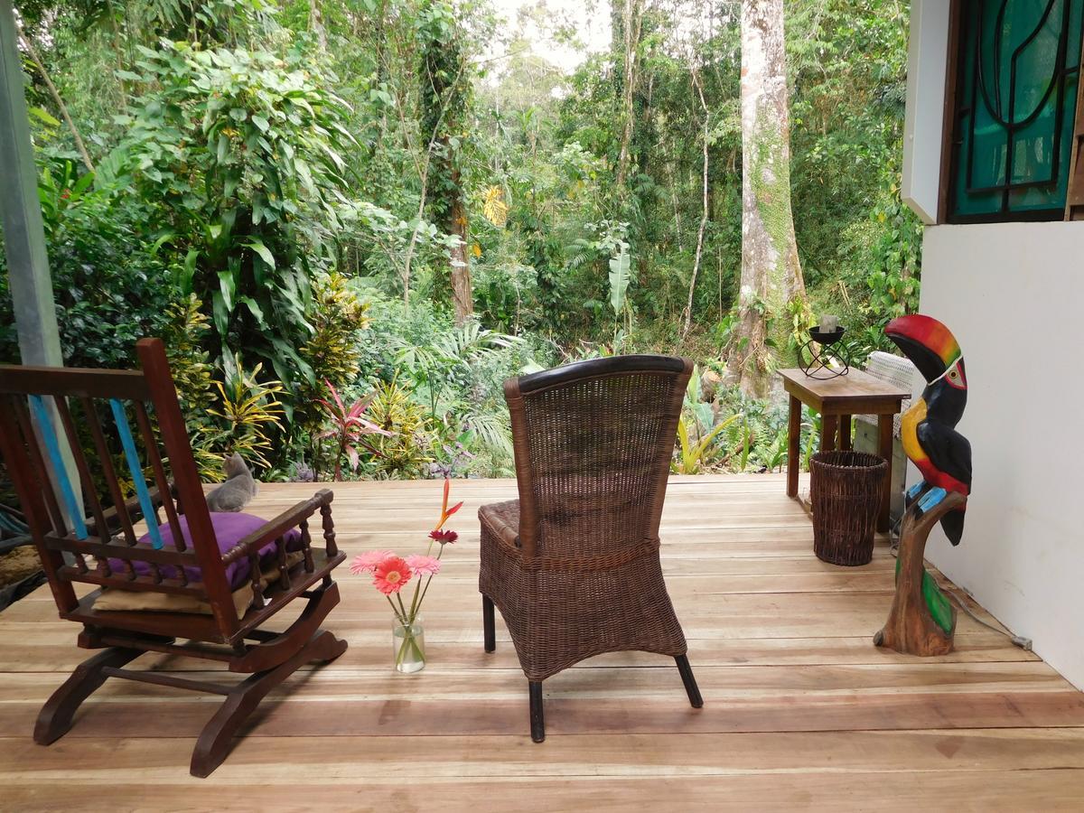 Casa Lina Sloth View Exotic Apartment With Privat Kitchen Puerto Viejo de Talamanca Exterior photo